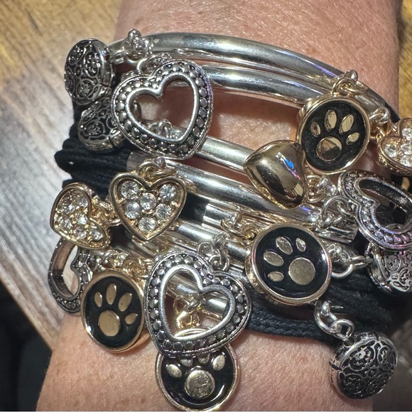 Elegant Silver and Black dog lovers Charm Bracelet - Picture 2 of 3